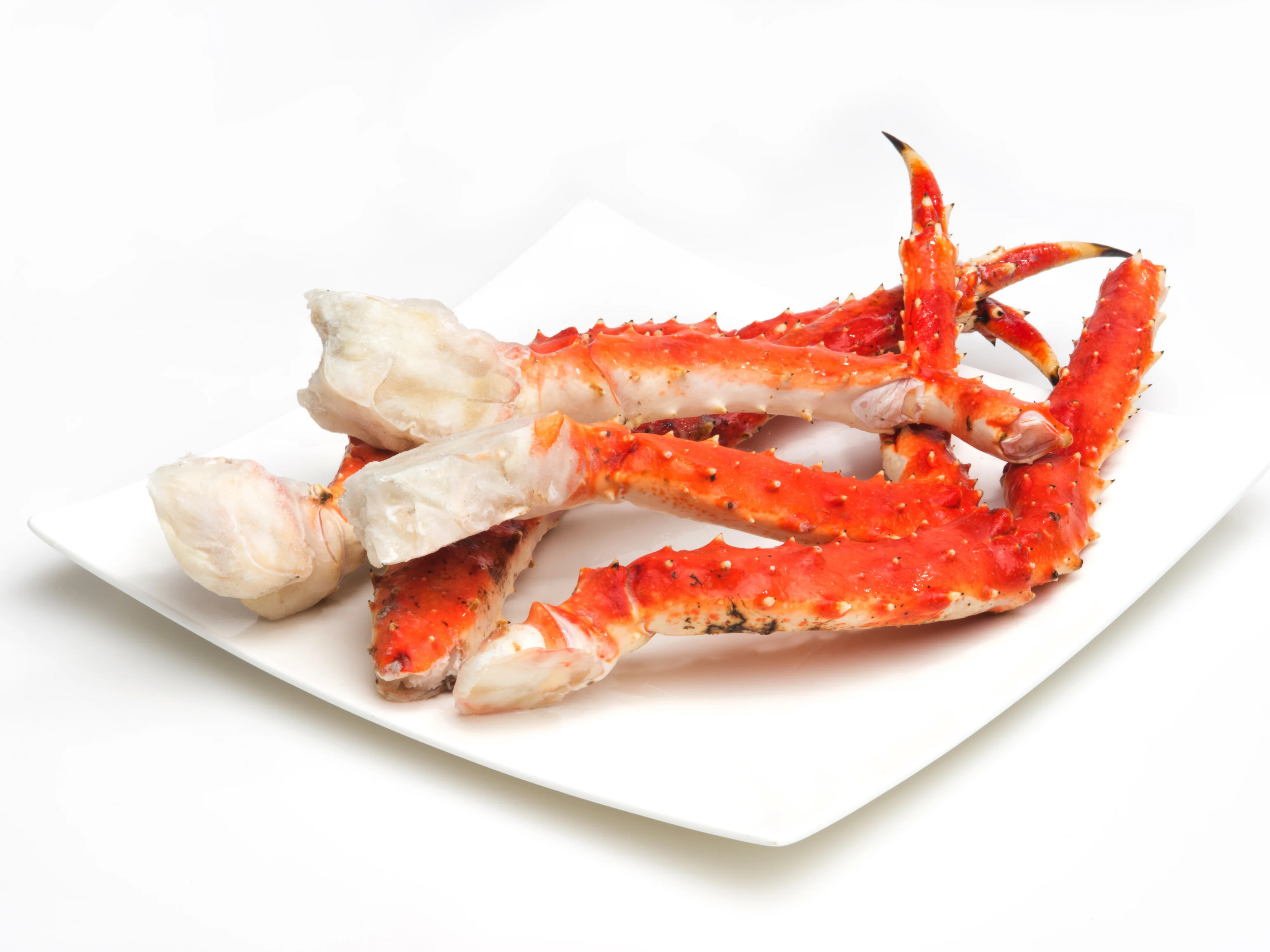 Luscious Frozen, Fresh & Cooked Horseshoe Crab 